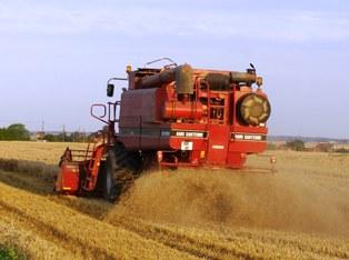 Le rendement moyen doit progresser de 40 % à l'échelle mondiale d'ici 2030