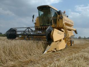 Moissonneuse-batteuse NewHolland