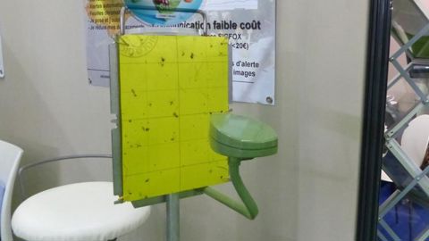 Un piège qui compte les insectes volants Un piège qui compte les insectes volants