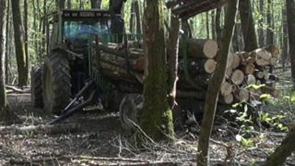 Sécuriser l’apprentissage des élèves en un coup de pouce