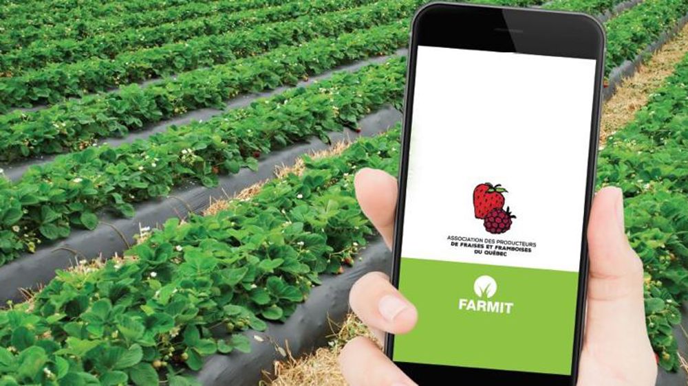 Prédire les rendements 21 jours avant la récolte