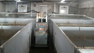 Un robot pour laver la porcherie Un robot pour laver la porcherie