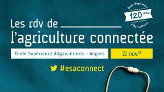 Une édition centrée sur le bien-être et la santé Une édition centrée sur le bien-être et la santé