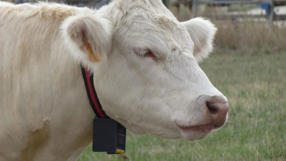 Performants mais une rentabilité difficile à évaluer