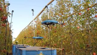 Ils récoltent des fruits avec des drones Ils récoltent des fruits avec des drones