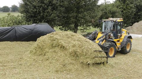 « Une chargeuse pour tasser l’ensilage »