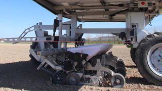 « Je sème et désherbe mes betteraves avec un robot » « Je sème et désherbe mes betteraves avec un robot »