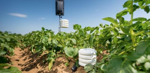 Deepfield Connect a rejoint le groupe Bosch en 2019. La station météo connectée se décline en trois versions : Field Monitoring pour les grandes cultures, Milk Monitoring pour la production laitière et Asparagus pour la culture des asperges. © Bosch
