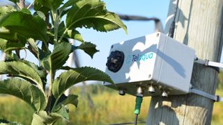 Une application gratuite et des capteurs connectés pour l’irrigation Une application gratuite et des capteurs connectés pour l’irrigation