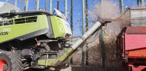 Pour éviter qu’elles s’accumulent derrière la machine, un dispositif conduit les pailles et les poussières dans une remorque. © P. Peeters