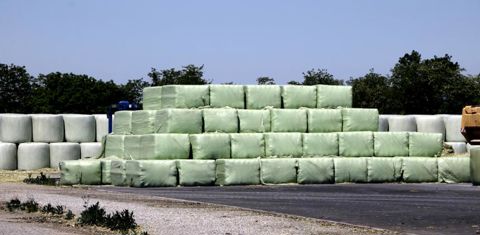 L’espace de stockage nécessaire est plus petit pour le format carré qu’en balles rondes et l’empilement génère moins d’affaissement car la masse est mieux répartie. © G. Baron