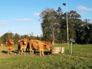La caméra est placée au-dessus de l’abreuvoir, au point pivot du pâturage tournant dynamique. Lorsque l’éleveur change les animaux de paddock, il n’a qu’à effectuer une rotation au mât. © Copeeks
