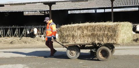 Le chariot avance à la vitesse d’une personne qui marche. Il permet à Pierre de distribuer le foin rapidement en limitant l’effort physique nécessaire. © G. Baron/GFA