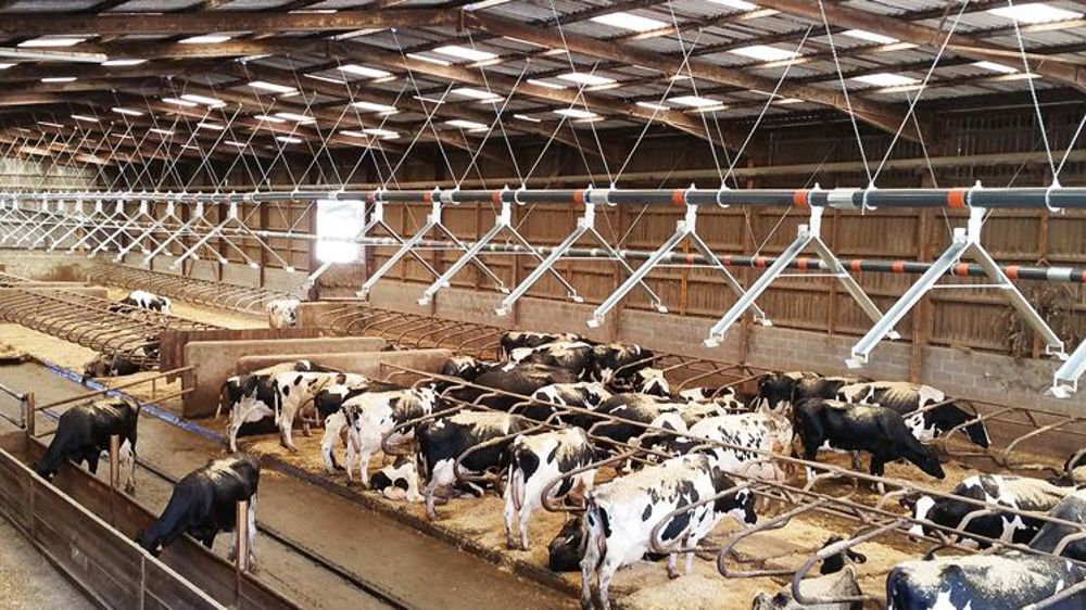 Une pailleuse sans poussière