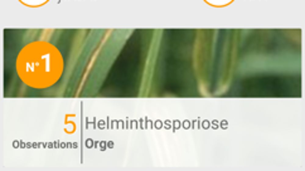 Une appli collaborative gratuite