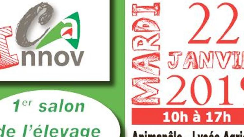 Un salon dans le Lot