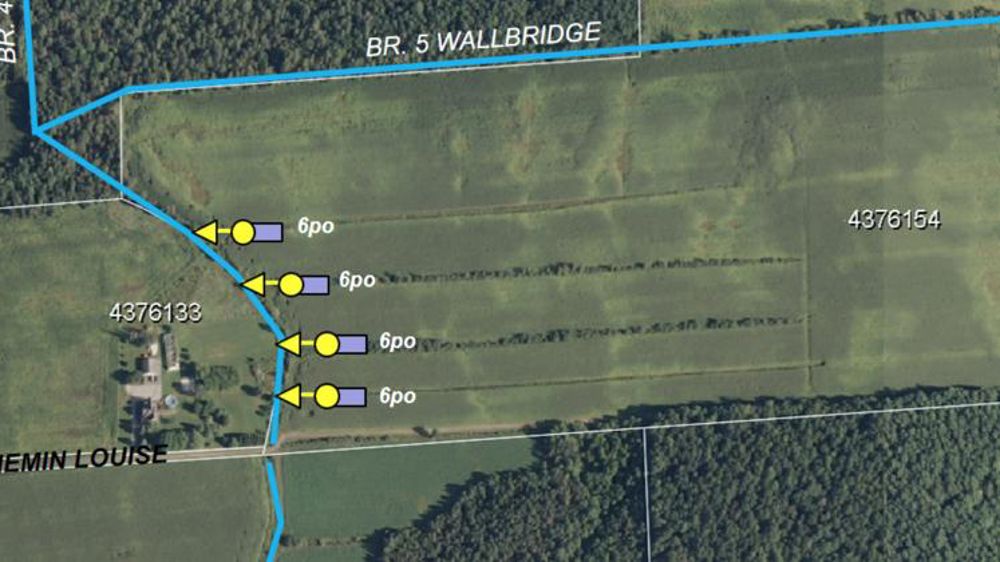 Ils sont capables de détecter les drains