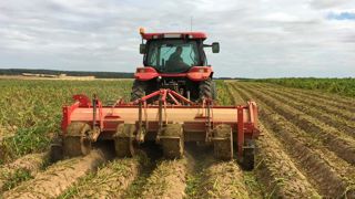 Un broyeur pour les fanes de pommes de terre Un broyeur pour les fanes de pommes de terre