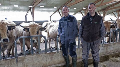 Des vaches bien finies pour une filière sous label rouge Des vaches bien finies pour une filière sous label rouge