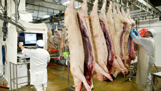 Les abattoirs ne pourront pas payer la nouvelle taxe Les abattoirs ne pourront pas payer la nouvelle taxe