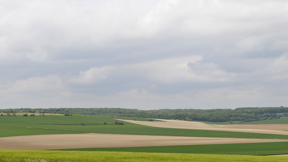 Le ministère rappelle les règles 