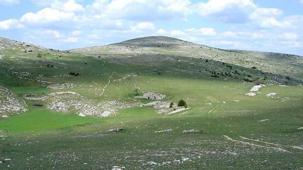 La Lozère va avoir une brigade d’intervention loup. © Serge Laurent