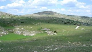La Lozère va avoir une brigade d’intervention loup. © Serge Laurent La Lozère va avoir une brigade d’intervention loup. © Serge Laurent