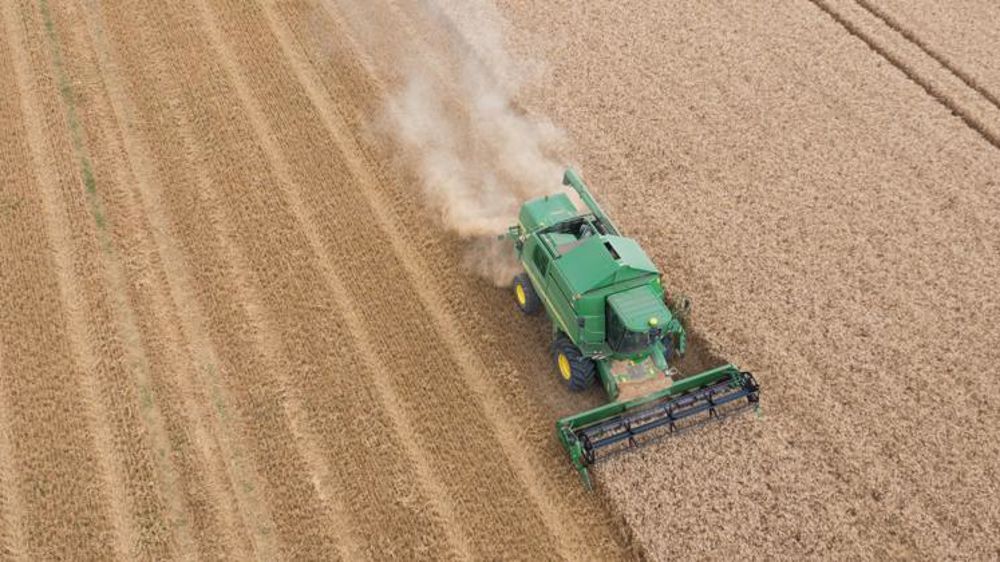 Récolte de blé dur. © Sébastien Champion