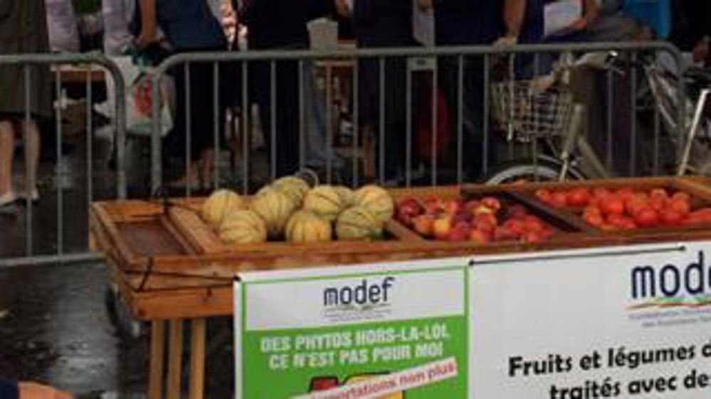 Le Modef en croisade contre les « phytos hors la loi » (vidéo)