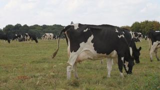 Des mesures « honorables mais insuffisantes », pour l’OPL Des mesures « honorables mais insuffisantes », pour l’OPL