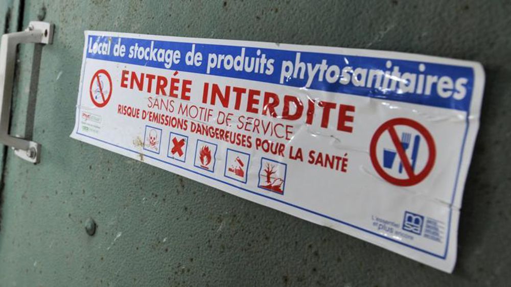 © C. Faimali / GFA