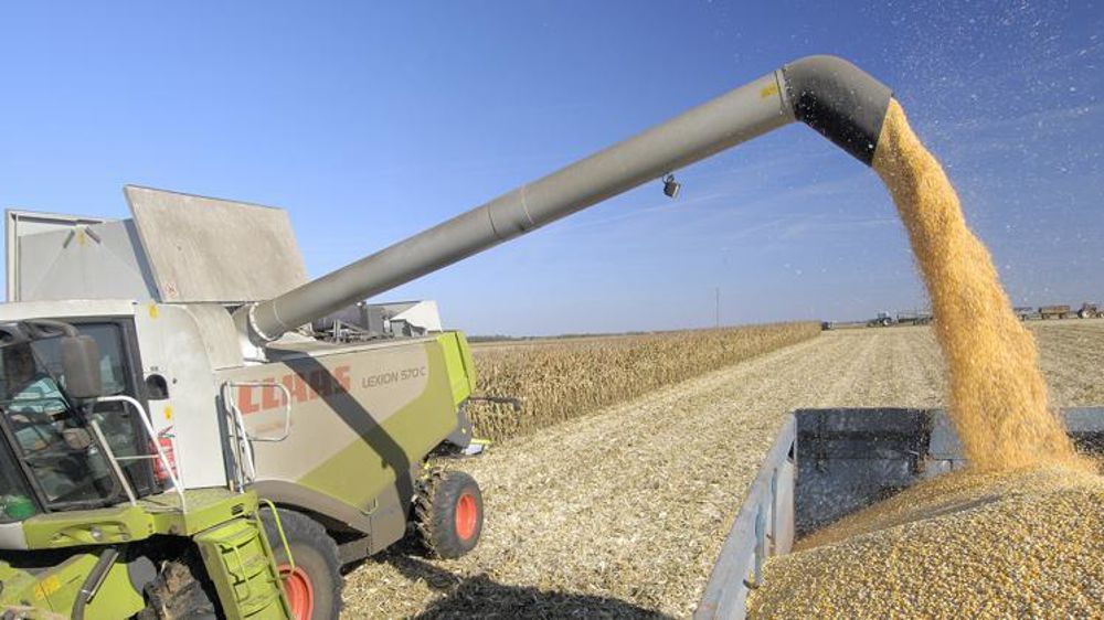 © Stéphane Leitenberger