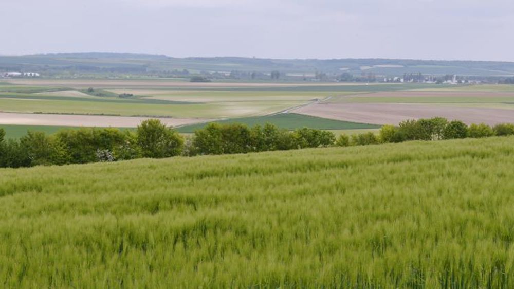 © Cédric Faimali/GFA