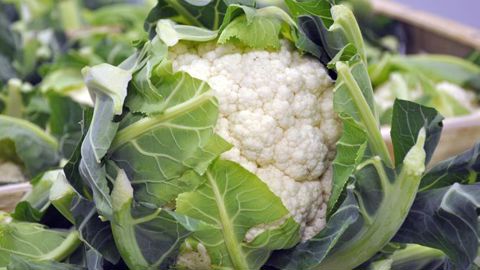 La récolte de chou-fleur chute de 23 % La récolte de chou-fleur chute de 23 %