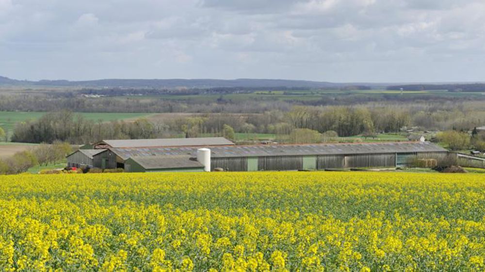 Le permis environnemental unique en consultation