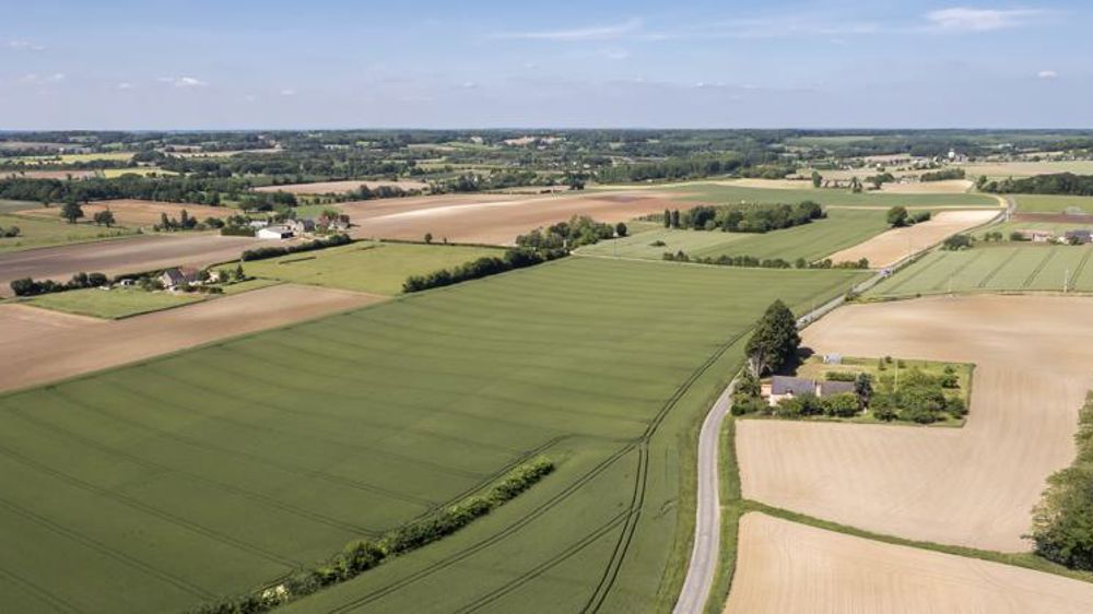 Tout sur les 15 aides végétales couplées