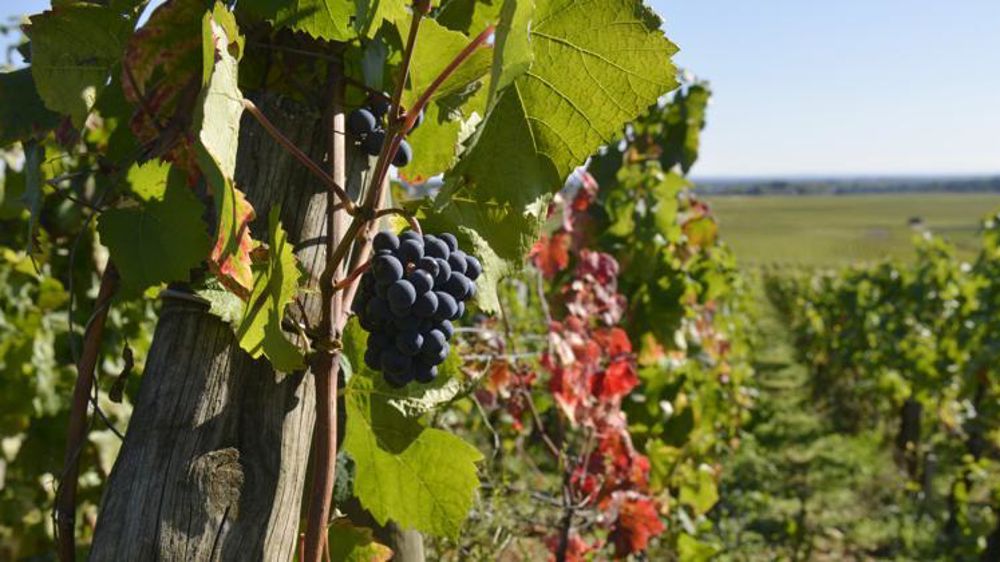 © Cédric Faimali/GFA