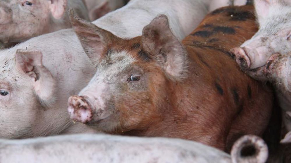 « Ouvrir les yeux sur la réalité du marché ! »