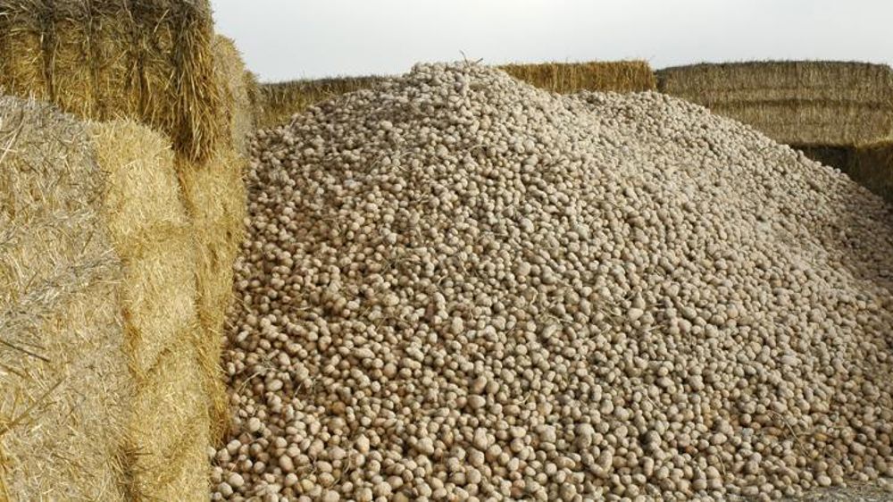 La production française en 2016 estimée à 5,1 Mt