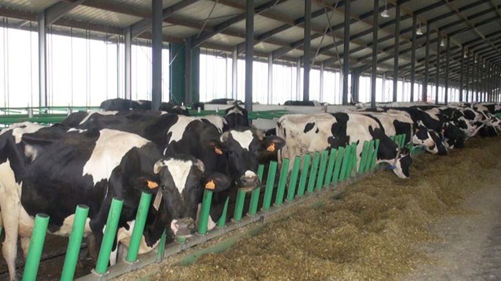 La Conf’dénonce le relèvement des seuils