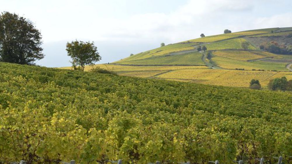 Les surfaces AOP mieux protégées