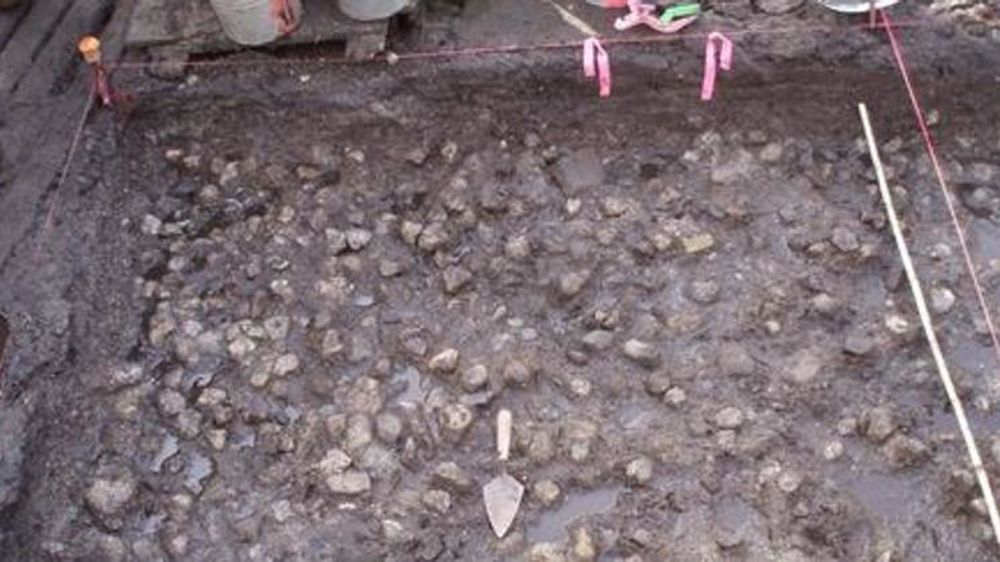 © Compte Twitter @ScienceAdvances