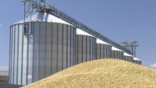 Vers un stock de fin de campagne dans la moyenne Vers un stock de fin de campagne dans la moyenne