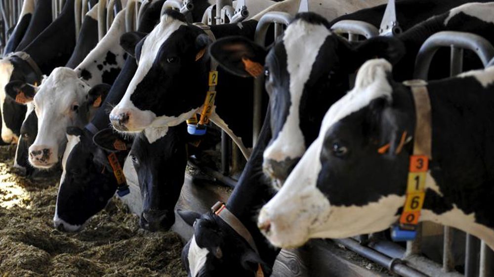 Bruxelles ne vend toujours pas sa poudre Bruxelles ne vend toujours pas sa poudre