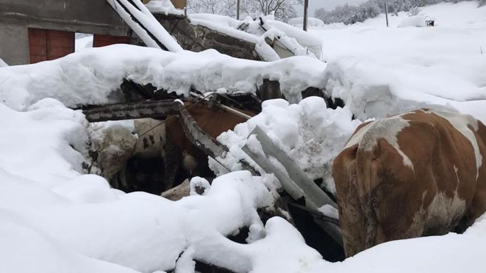 © Nadia Savin Benesteau