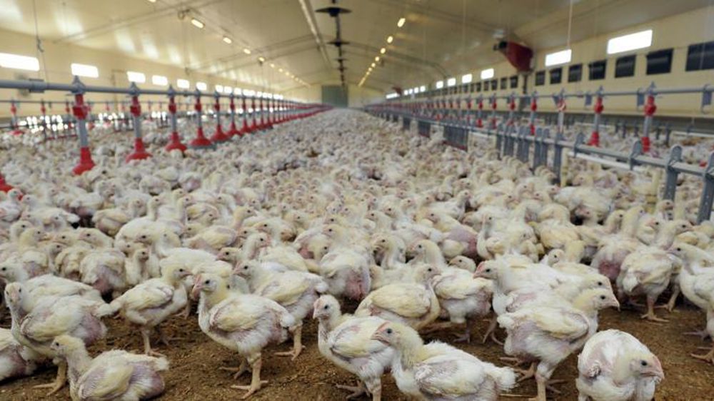 © Cédric Faimali/GFA