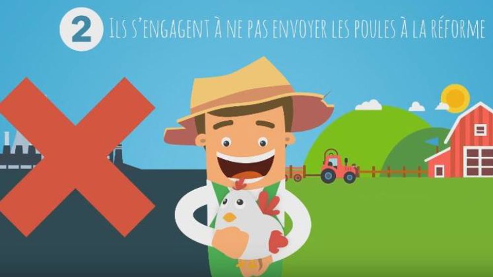 Une « maison de retraite » pour poules pondeuses