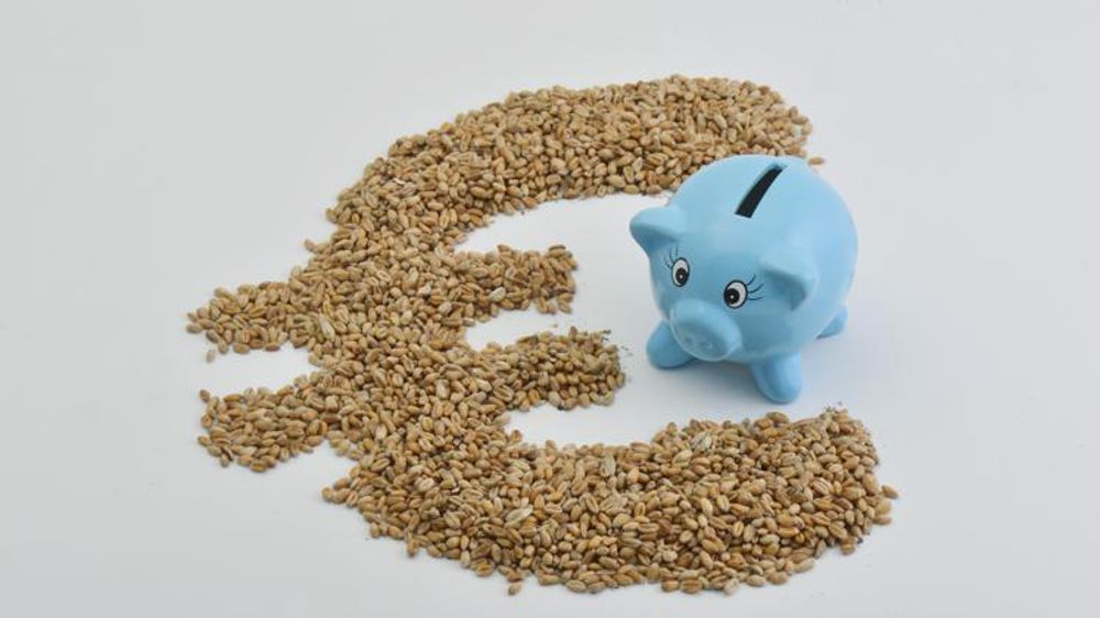 © Cédric Faimali/GFA