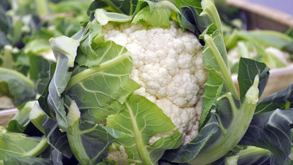 © P. Dufour/Interfel