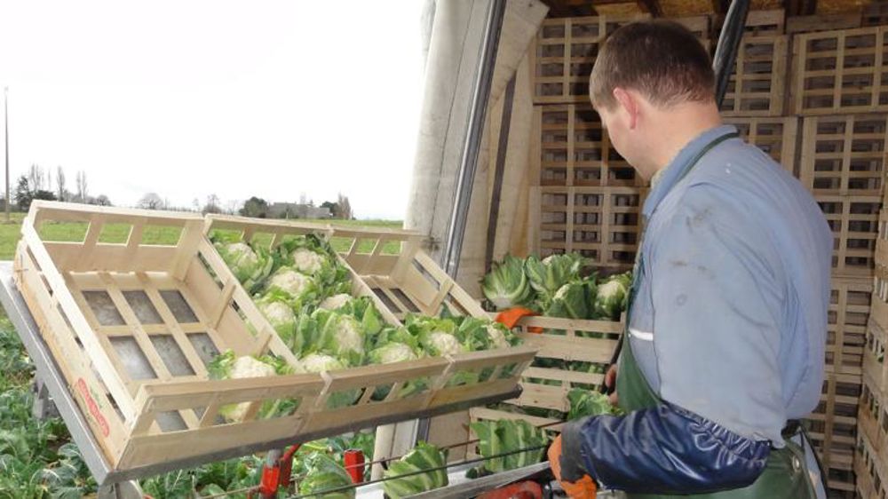 Année quasi stable pour la Sica de Saint-Pol-de-Léon